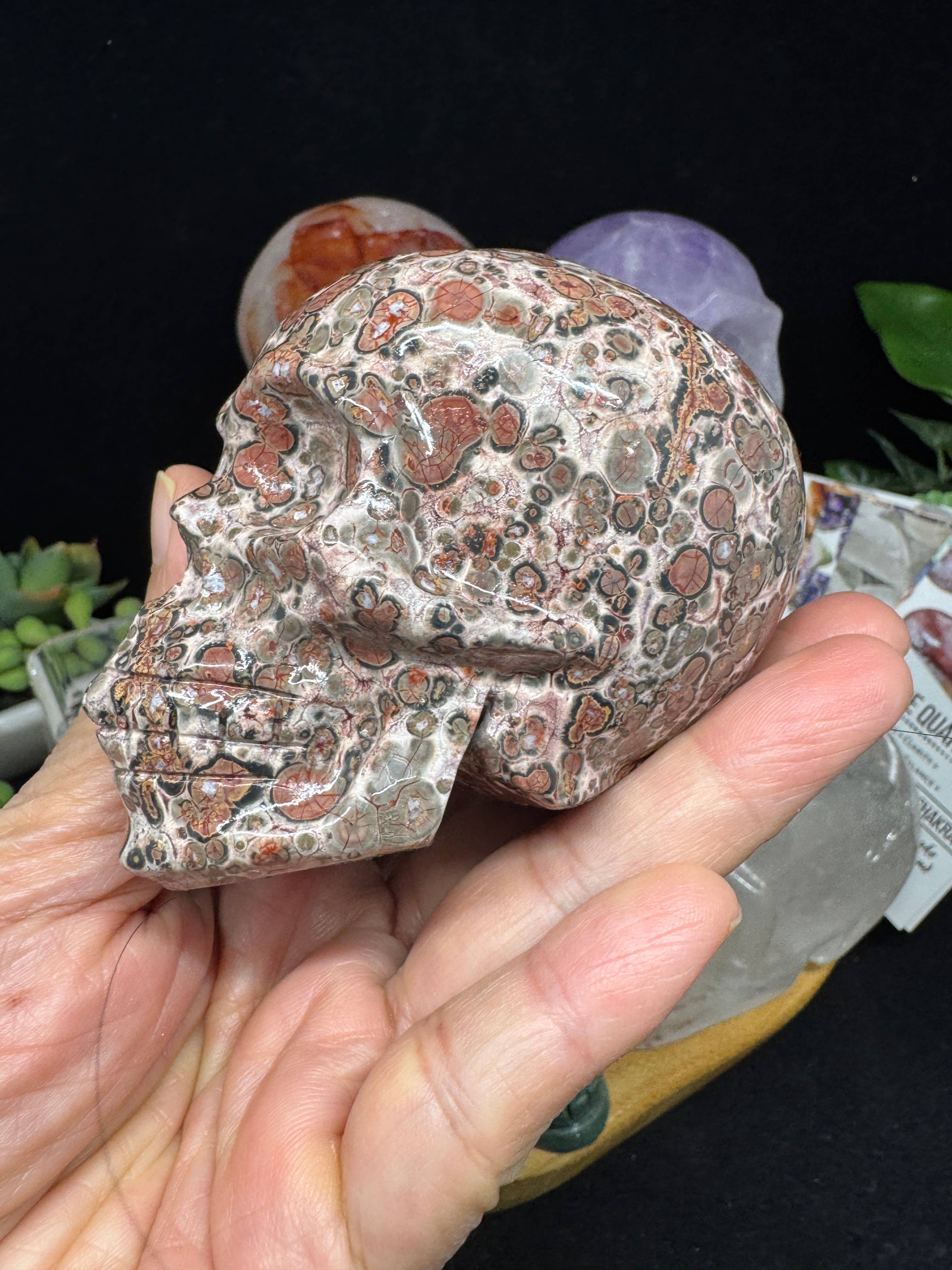 The 7 Directions - Wholesale Spiritual Stone/Crystal - 6 pc Ocean Jasper Leopardite fire quartz skull bundle G8057