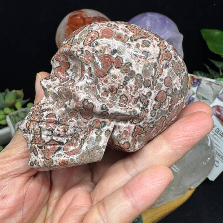 The 7 Directions - Wholesale Spiritual Stone/Crystal - 6 pc Ocean Jasper Leopardite fire quartz skull bundle G8057