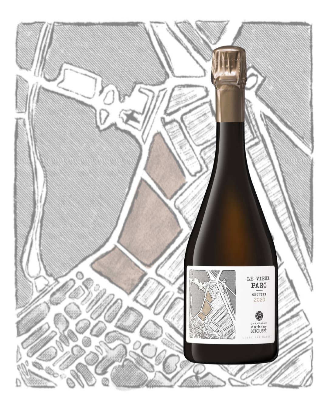 Champagne Anthony Betouzet - Wholesale Champagne/Sparkling Wine - Champagne Le Vieux Parc 100% Meunier vintage 2020