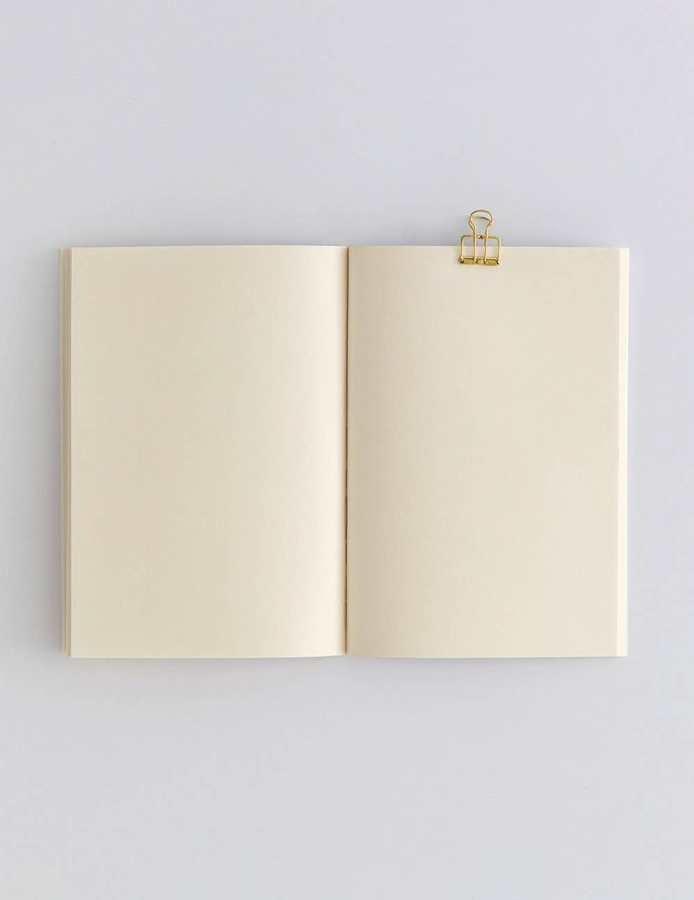 Paper Street - Vente Cahiers - Collection du Journal des Champignons : Amanita Muscaria2