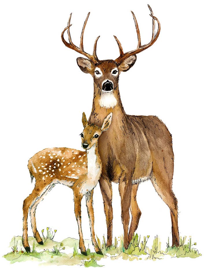 Deux cerfs pour la vente par Colors By Megan