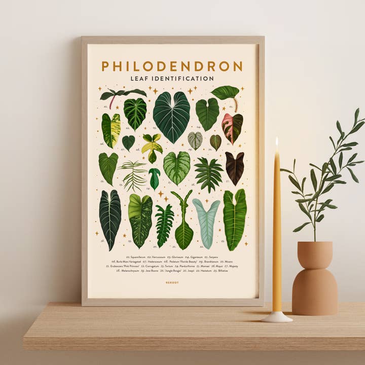 Philodendron Plant Poster for wholesale by ReRoot