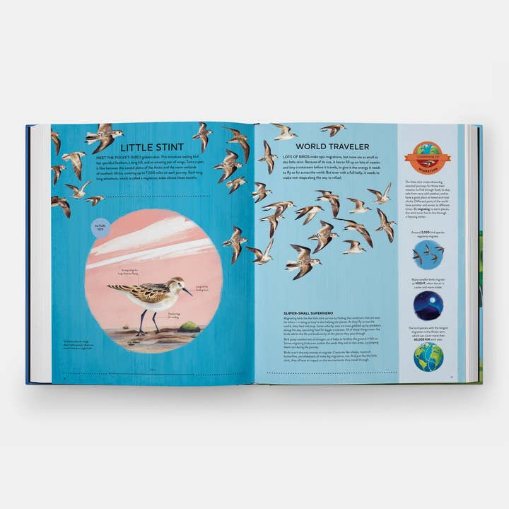 Phaidon - Wholesale Nature & Outdoors - Nature's Tiny Champions: The Big Book of Little Creatures5