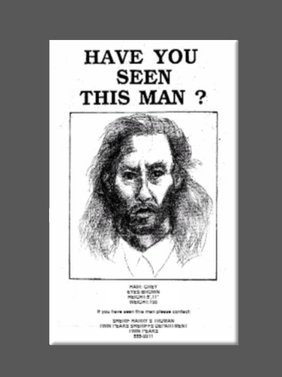 TWIN PEAKS, Magnet, Button, Mirror, David Lynch, BOB for wholesale by Ba Ba Buttons