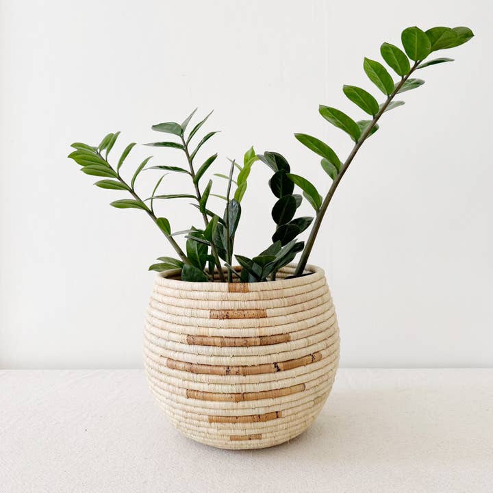 Amsha - Wholesale Basket - Honey Pot Basket: Mareba