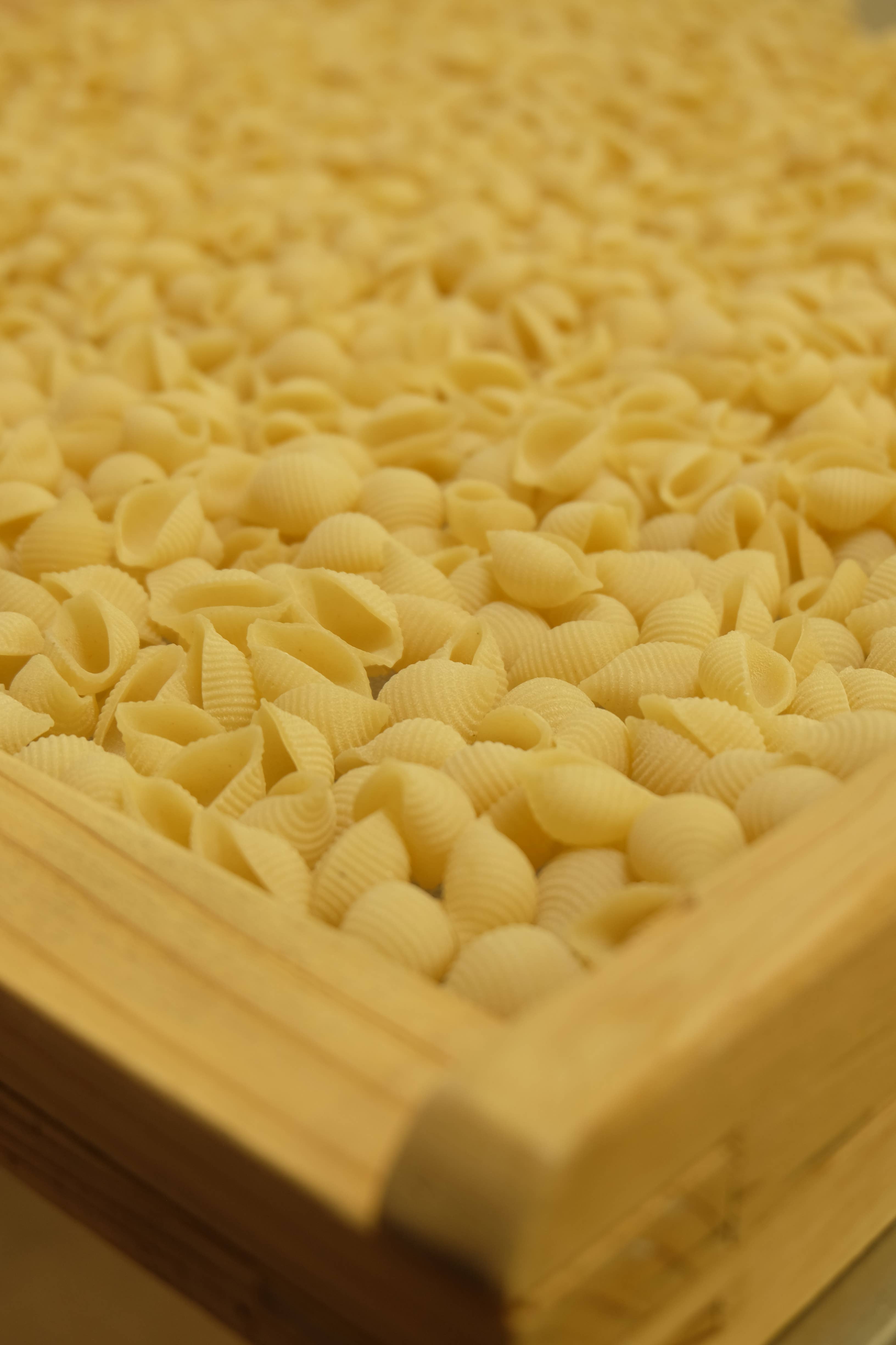 PATES FABRE – wholesale Pasta – Ekologisk pasta - Naturskaldjur - BULK 5kg0