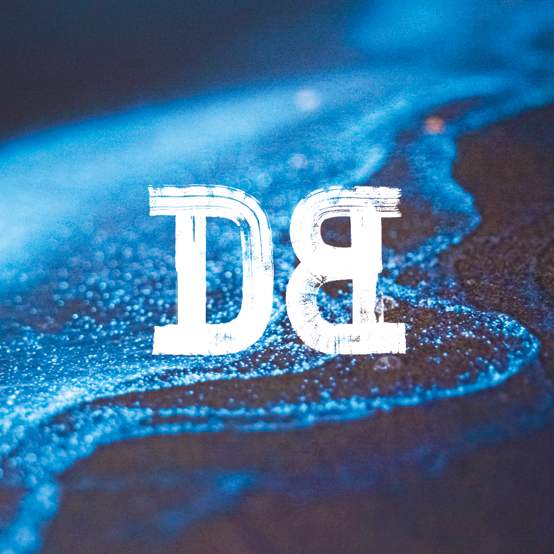 Dutch Bargain - Wholesale Non-Alcoholic Beer - Seawise Weizen Beer Gluten Free Weizen 12x33cl2