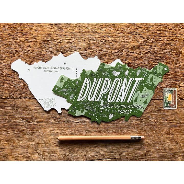 Noteworthy Paper & Press - Wholesale Postcard - Dupont State Forest Postcard3