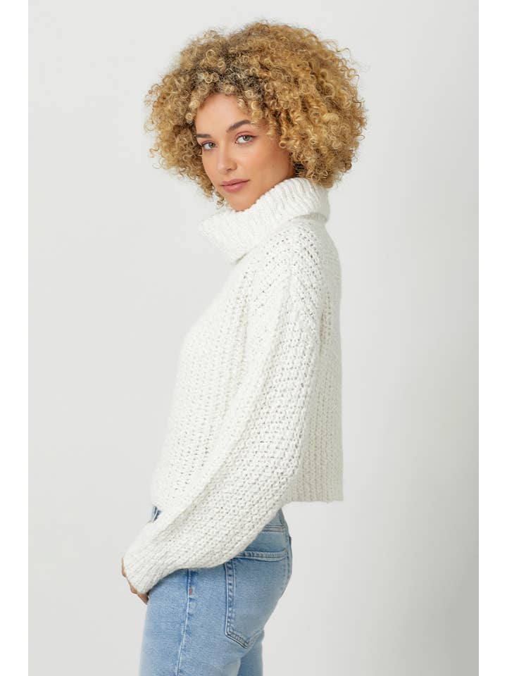 Mystree - Wholesale Knit Sweater - Women's - 60795 Turtle Neck Cropped Sweater