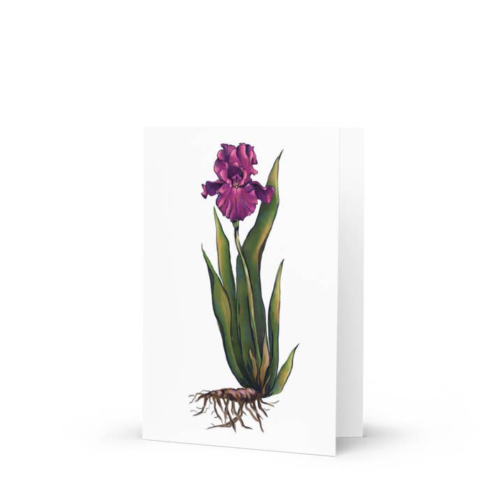 Cartão de saudação de senhora barbuda bonita (cartão único) por atacado de The Hummingbird and The Beagle