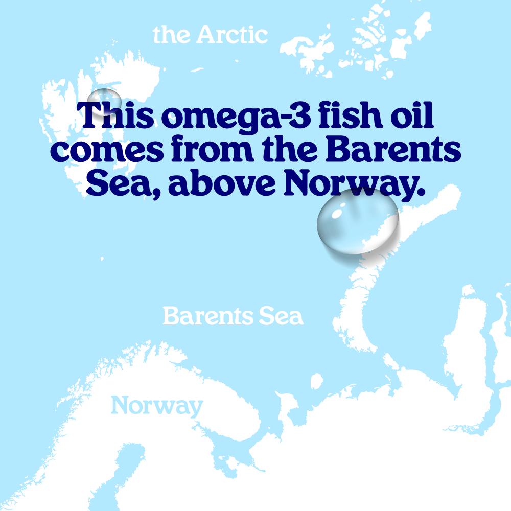 Arctic Blue - Wholesale Oral Supplement/Vitamin - DHA and EPA Fish Oil with Vitamin D3 (Orange Flavour) - MSC7