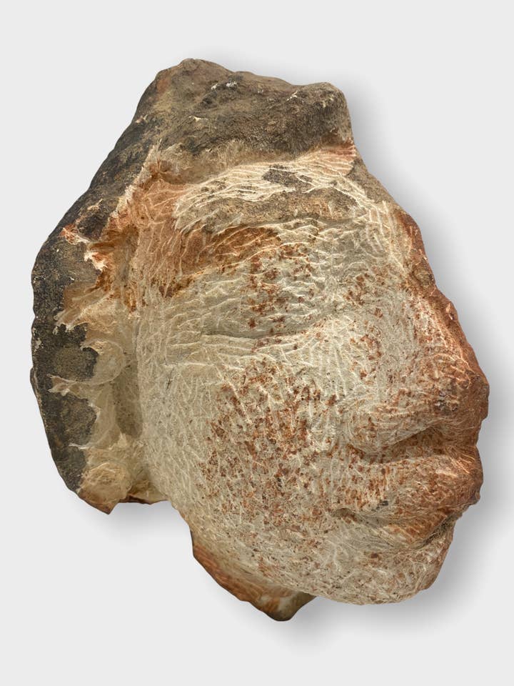 Stenhovedskulptur af Rizimu Chiwawa Zimbabwe (3115) for engroshandel hos Botanical Boys