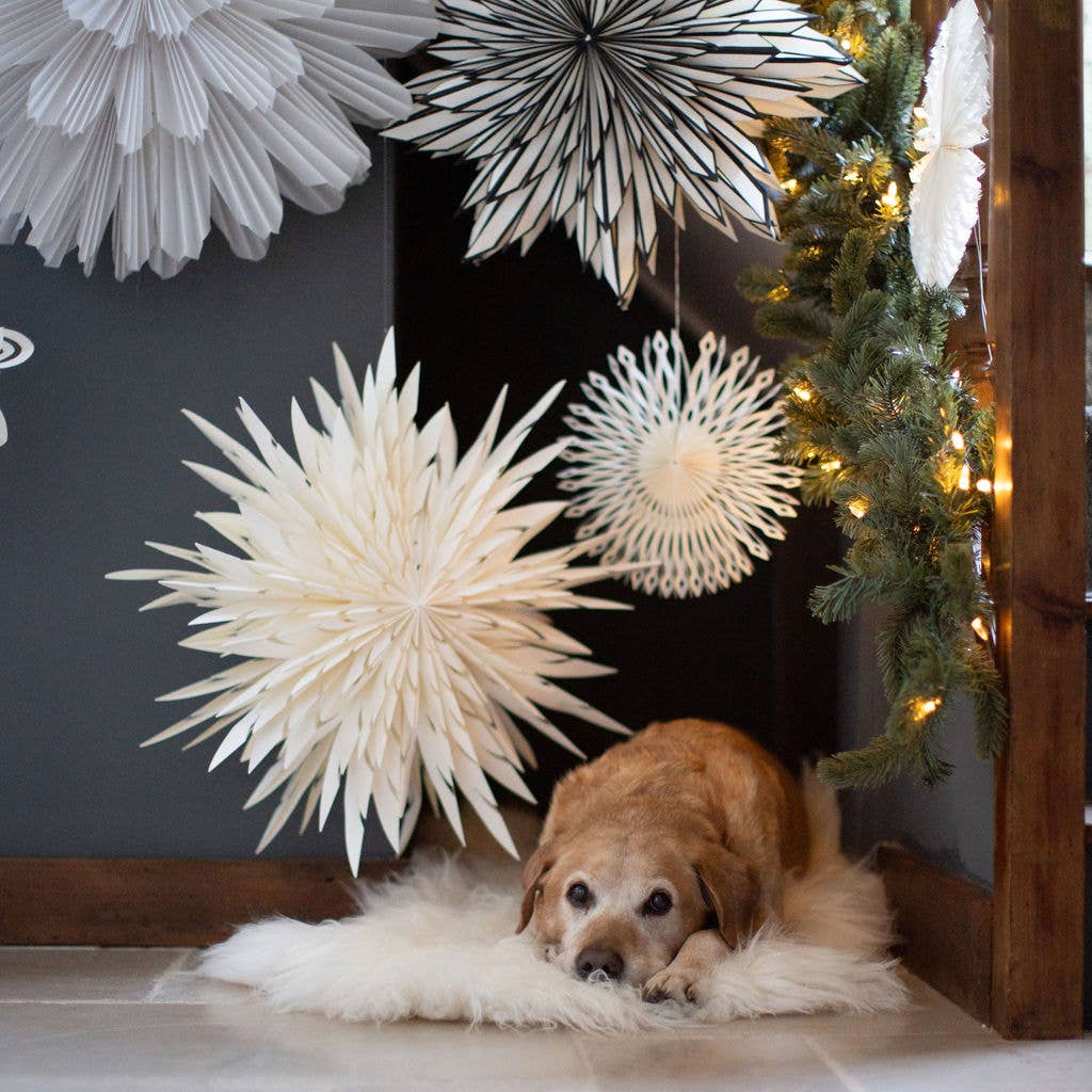 Bollywood Christmas – wholesale Dimensionell/3D-väggkonst – Gazania Svart & Vit Papper Väggdekoration - 70cm3