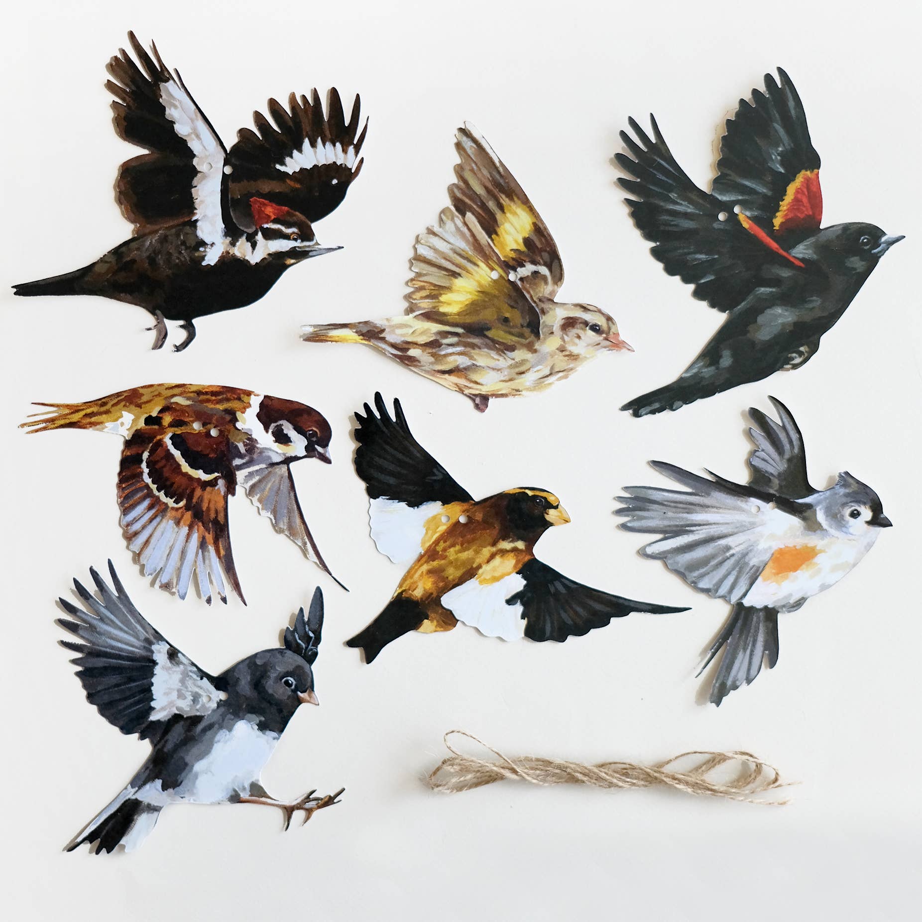 Doro Marcello - Wholesale Bunting/Garland - Canadian Birds Garland | DIY Paper Garland Set | Party Decor5