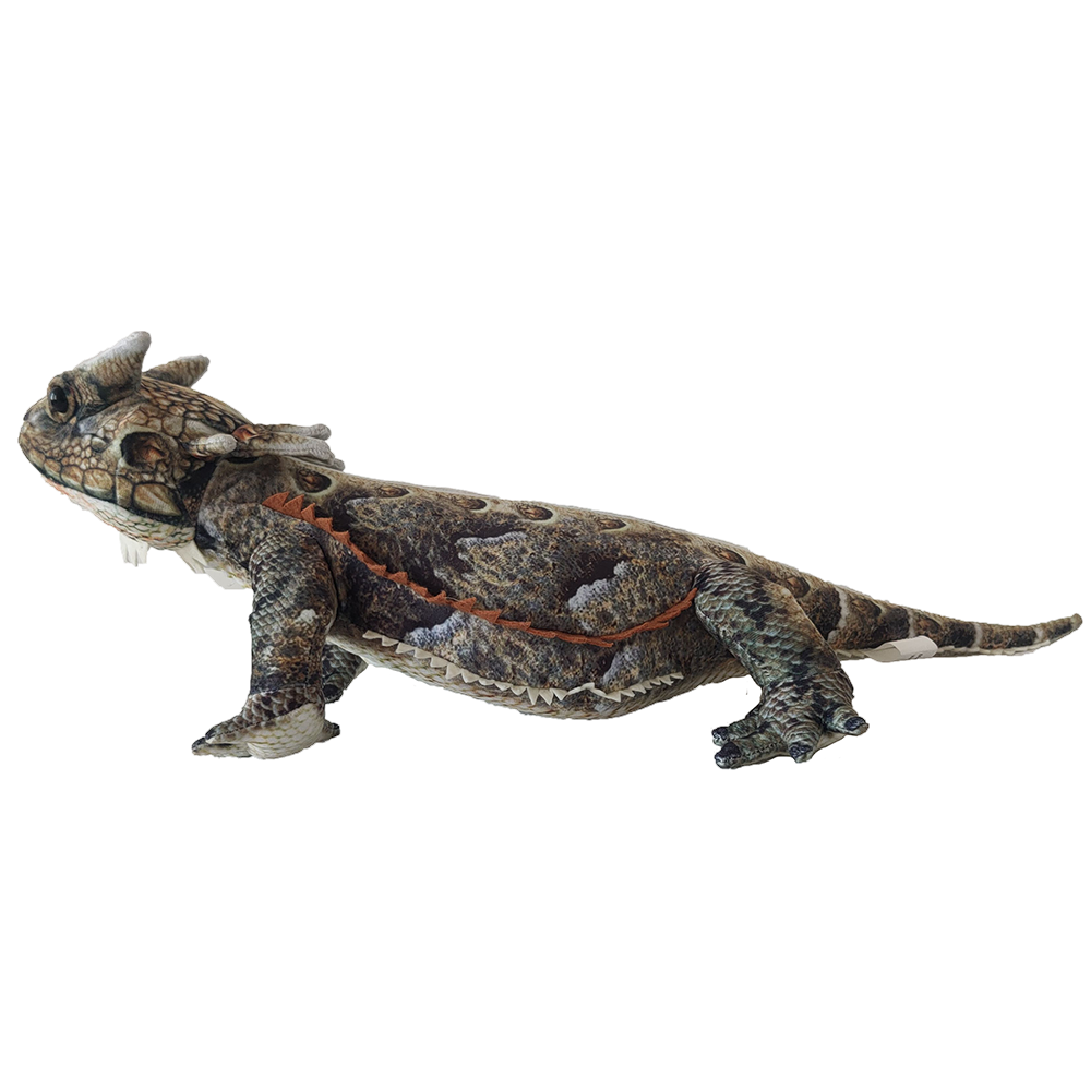 Texas Toy Distribution - Wholesale Stuffed/Plush Toy - Kids & Baby - Texas Horned Lizard Plush 20.5" Stuffed Animal4