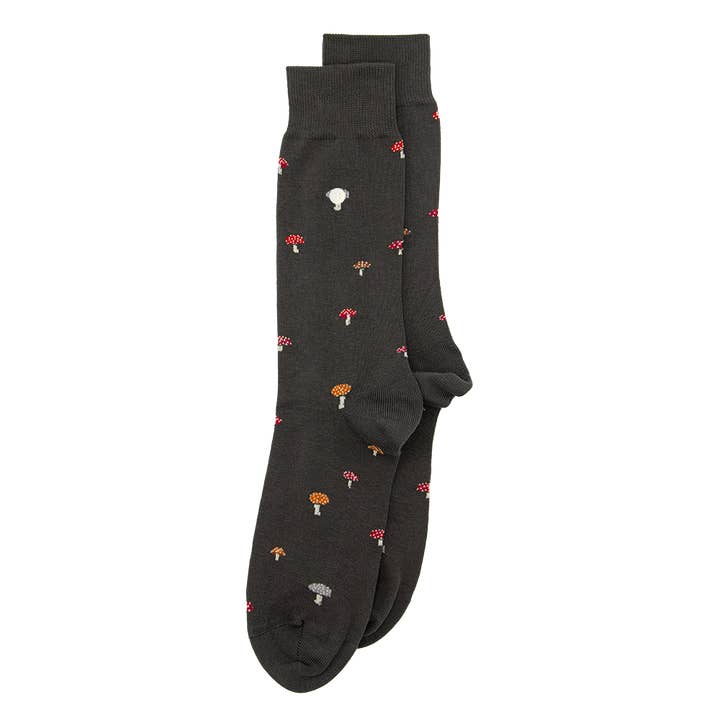 Cogumelos | Antracite por atacado de Alfredo Gonzales