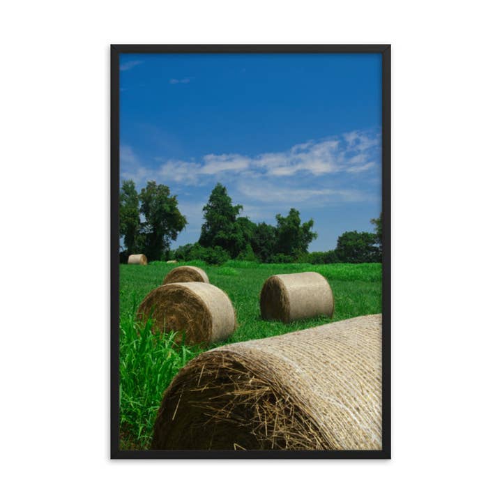 Hay Whatcha Doin In The Field, gerahmte Kunst im Landhausstil für den Großhandel von Pipa Wall Art & Home Decor