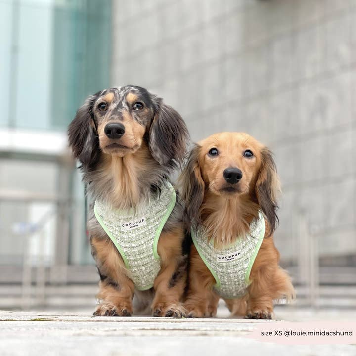 Cocopup London – wholesale Pet harness – Dog – Matcha Textured Tweed Adjustable Neck Harness28