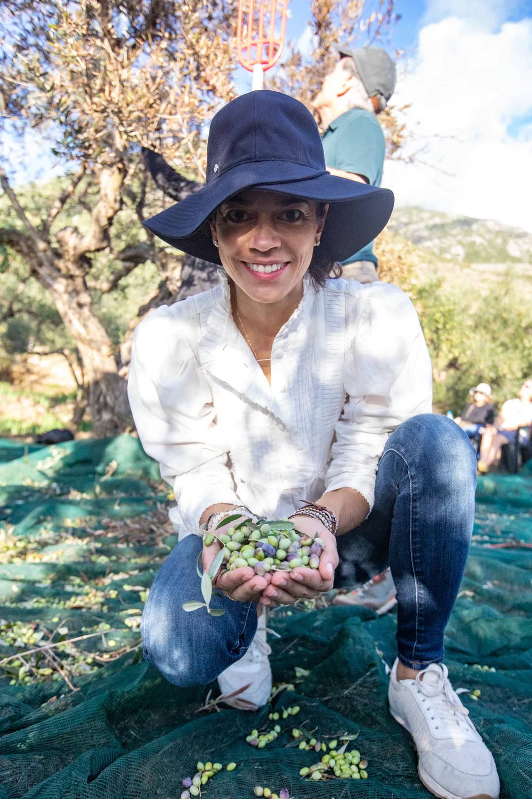 Zakarian Collection - Wholesale Olive Oil - Zakarian Ultra-Premium Extra Virgin Olive Oil - 500ml3