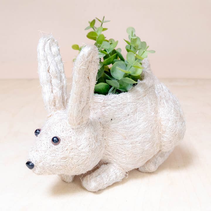 LIKHÂ - Wholesale Plant Pot - Baby Bunny - Coco Coir Pots | LIKHÂ