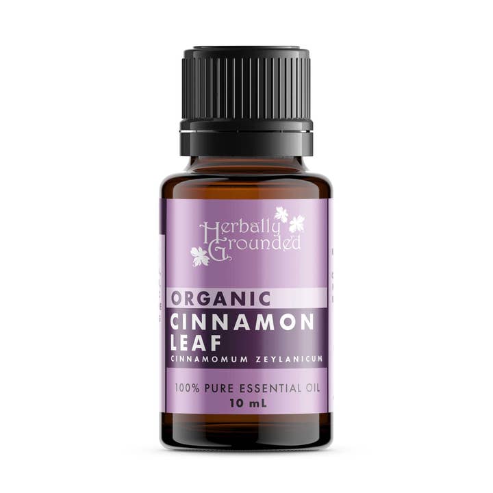 FOGLIA DI CANNELLA, OLIO ESSENZIALE BIOLOGICO per la vendita all'ingrosso da parte di Herbally Grounded