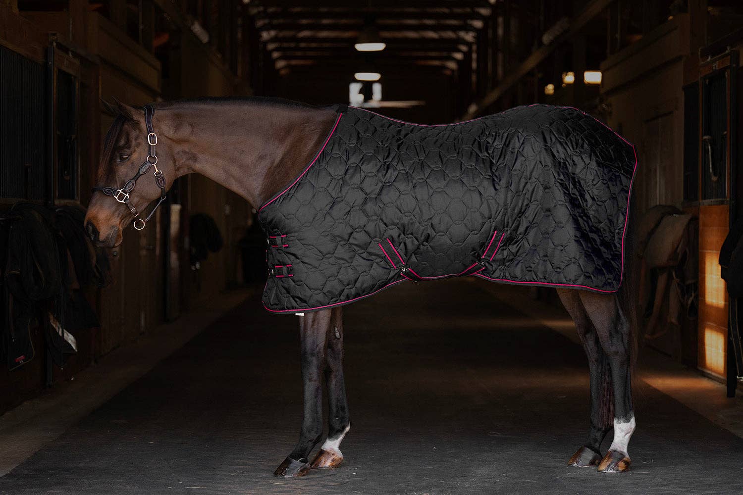 JPC Equestrian – wholesale Horseback riding gear – TuffRider Comfy Standard Neck Medium Weight Stable Blanket- 420D, 150GSM6