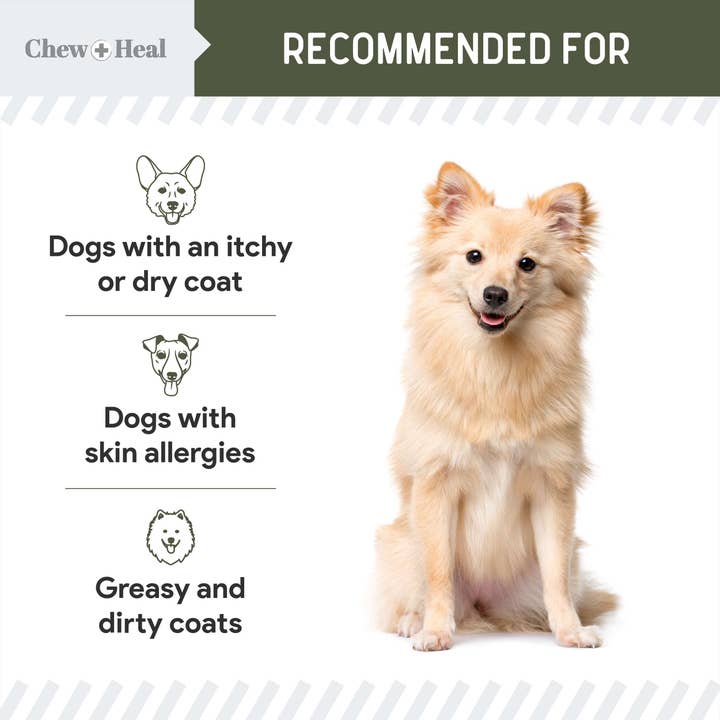 Chew + Heal - Wholesale Pet Supplement - Dog - Wild Caught Cod Liver Oil for Dogs, Single Ingredient - 16oz