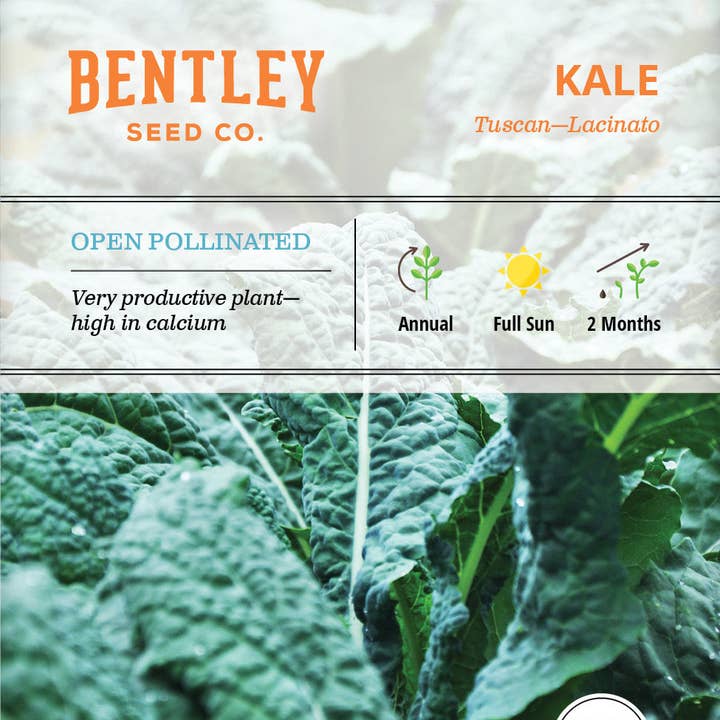 Bentley Seed Co. - Wholesale Plant Seeds - Kale, Lacinato Seed Packets