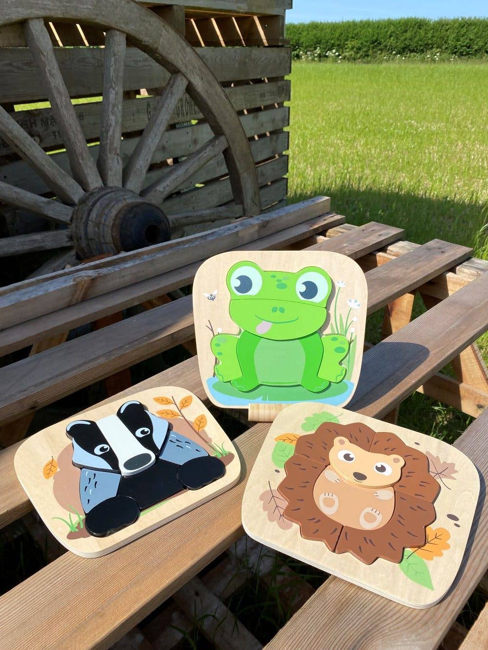 Inside Out Toys - Wholesale Wood Toy - Kids - Woodland Frog Raised Puzzle3