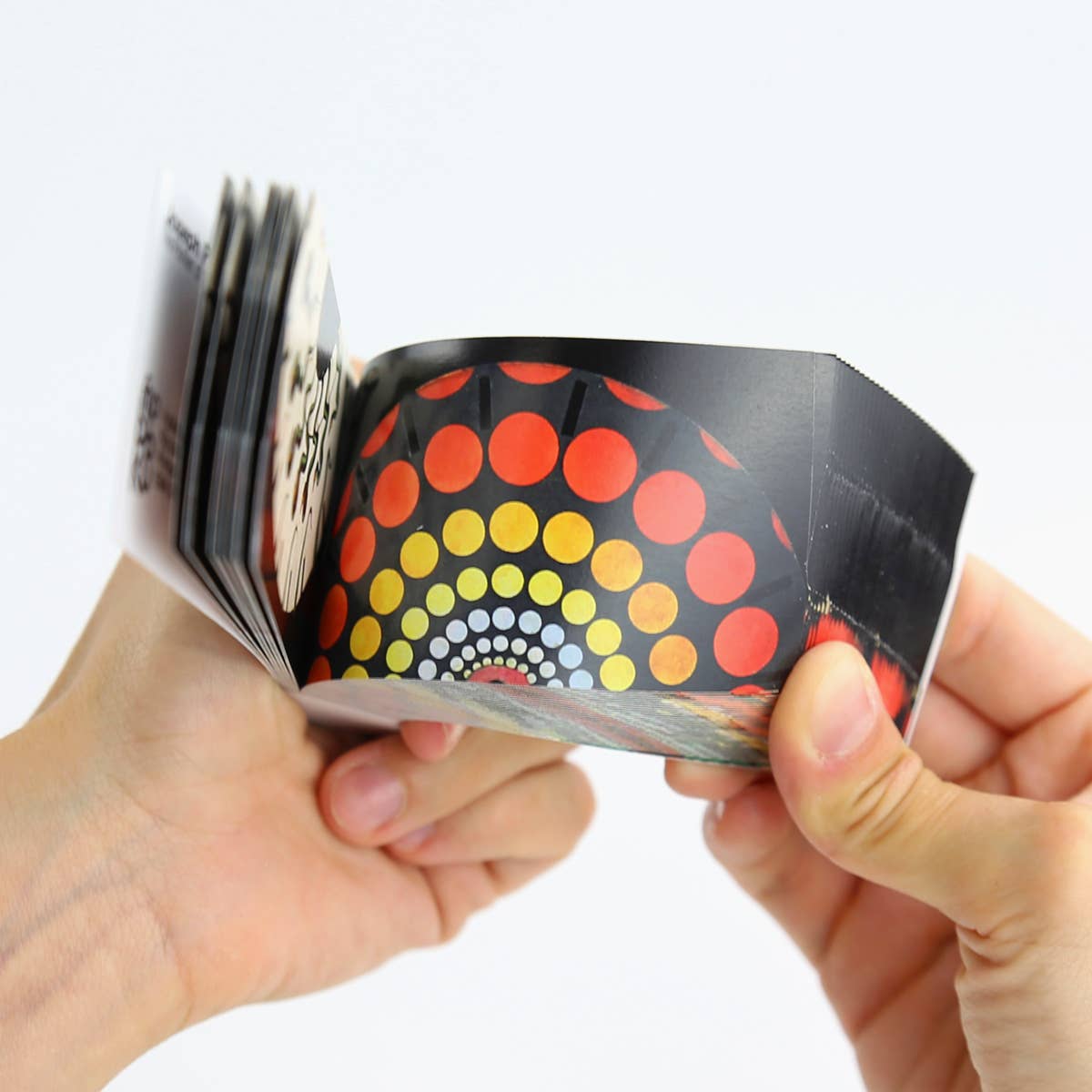 Flipboku - Wholesale Display Book - Joseph Plateau Flipbook6