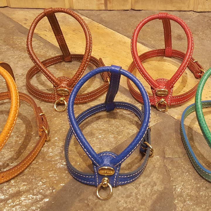 Alpen Schatz – Großhandel Haustiergeschirr – Hund – La Cinopelca weiche Kalbsleder-Geschirre für kleine Hunde14