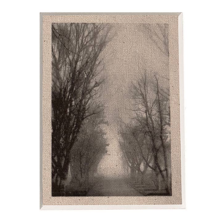 Santa Ynez #7 for wholesale by Stewart Vision