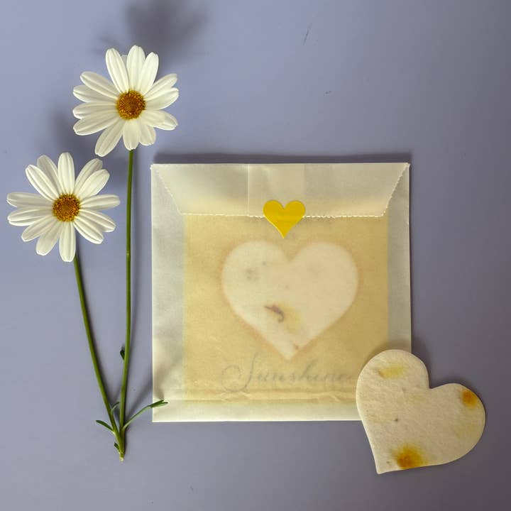 Plantable seed paper pet memorial heart for wholesale by Remember Me As Sunshine