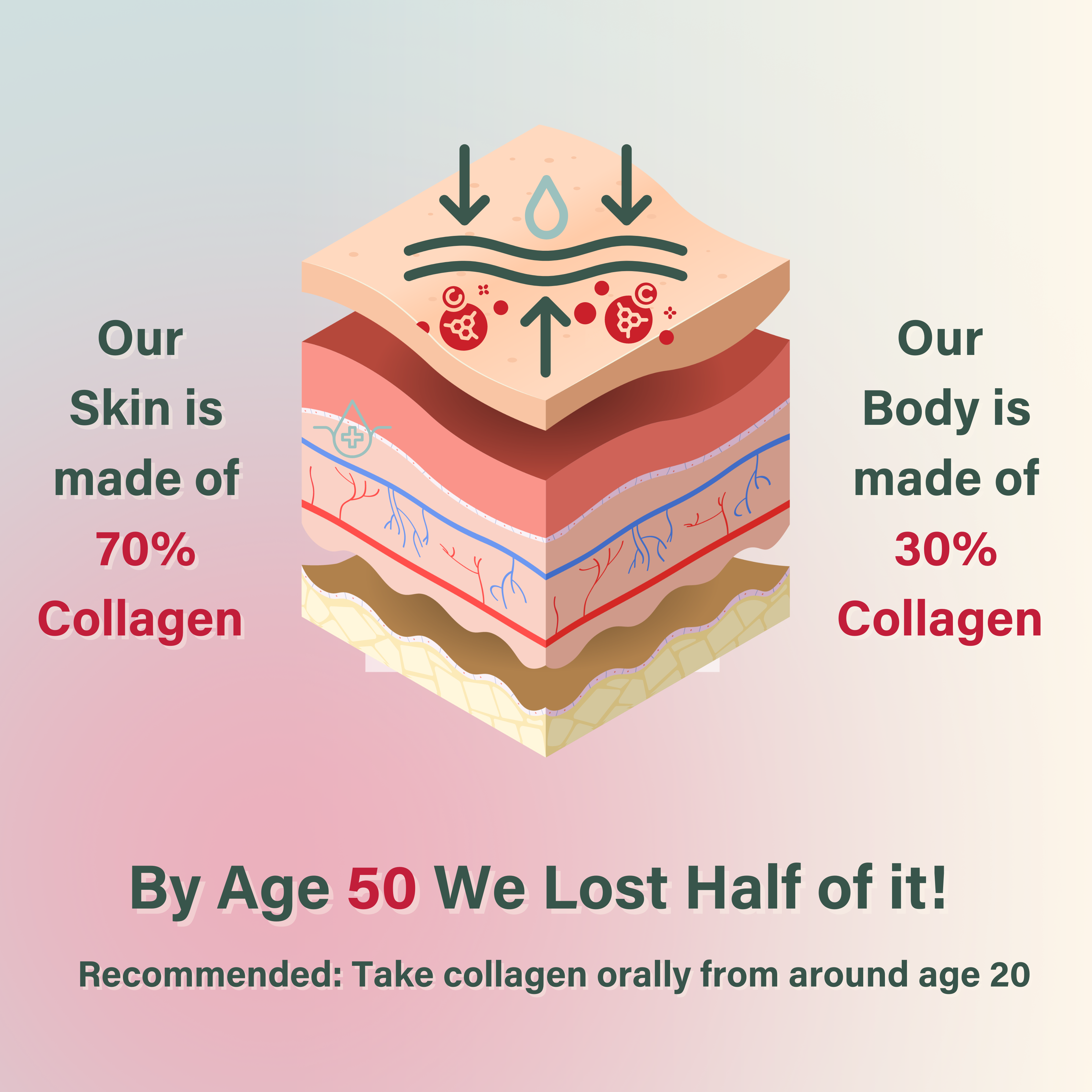 Nutri Beauties – wholesale Protein/superfood powder – 18x NUTRI BEAUTIES Pure Bovine Collagen Powder 10,000Mg11