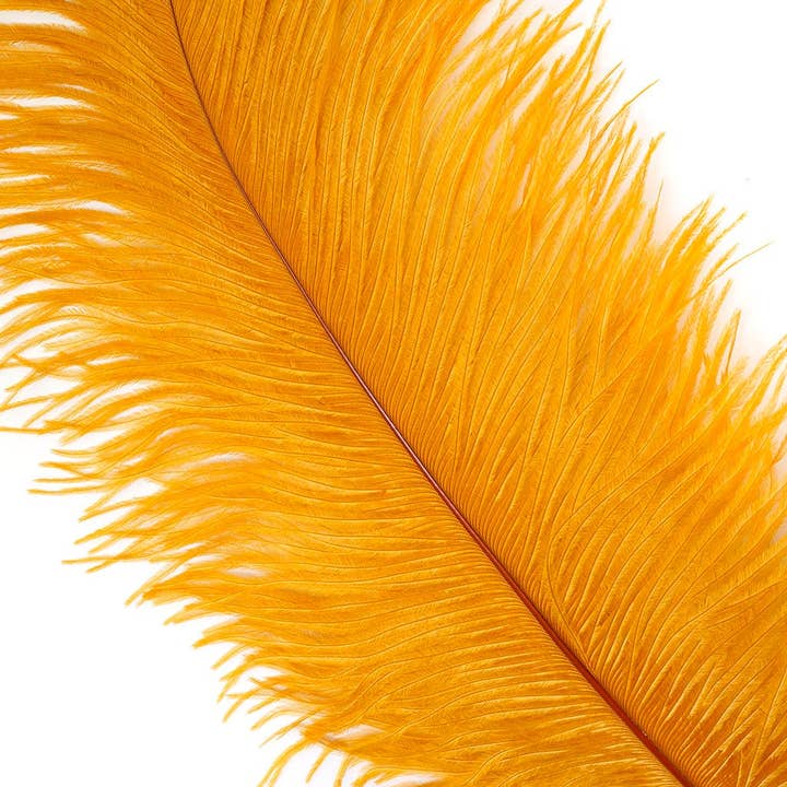 Large Ostrich Feathers - 17"+ Drabs - Marigold for wholesale by Zucker Feather Products