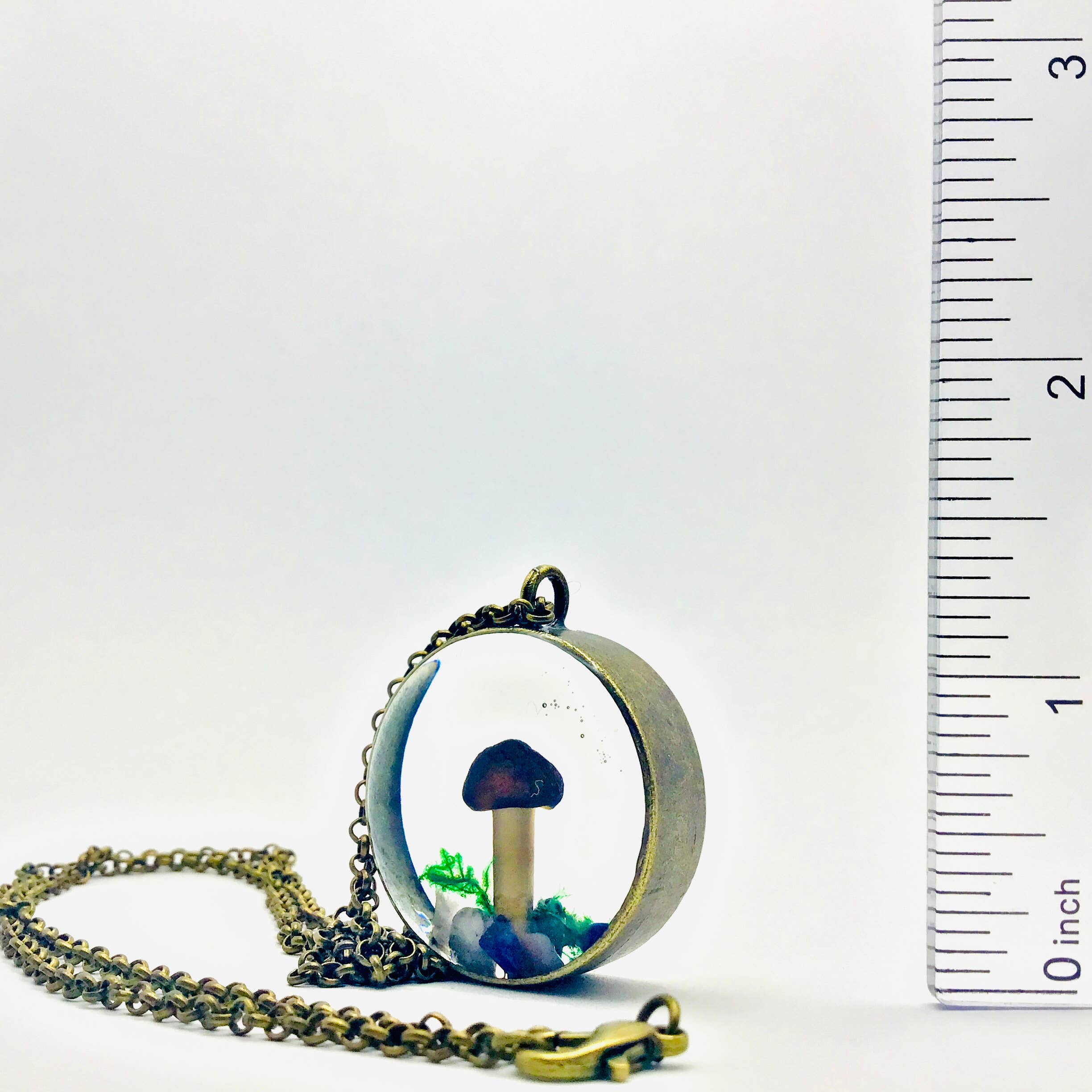 Fungus Farm LLC - Wholesale Pendant/Charm Necklace - Real Mushroom Curiosity Necklace Pendant 1.25" # 6851