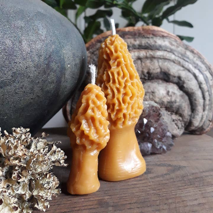 Morel Mushroom Beeswax Candles for wholesale by Flora+Fungi Apothecary