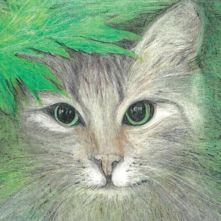 Starey Cat - Välgörenhetskort för wholesale av Dry Red Press