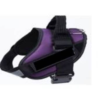Harnais de sécurité pour animaux - Violet pour la vente par MVPDOGS.com