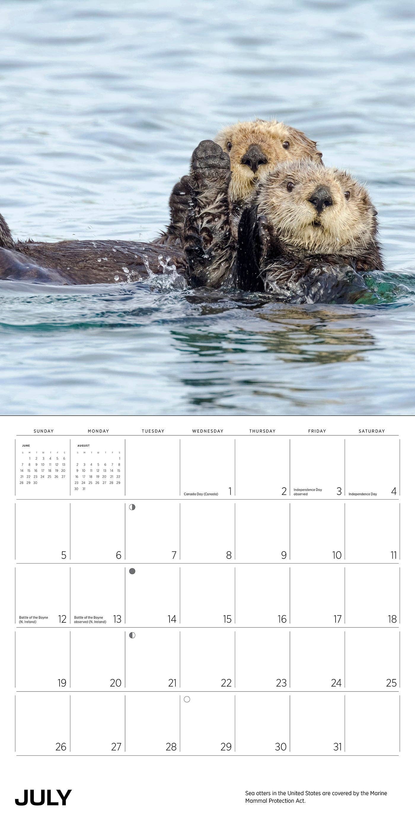 Pomegranate – wholesale Calendar – Sea Otters: Photographs by Tom and Pat Leeson 2026 Wall Calendar2