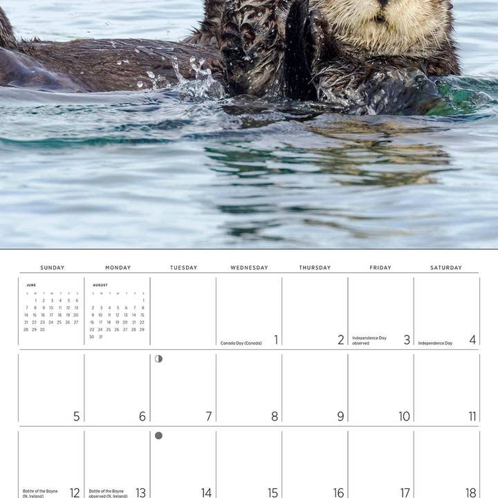 Pomegranate – wholesale Calendar – Sea Otters: Photographs by Tom and Pat Leeson 2026 Wall Calendar2