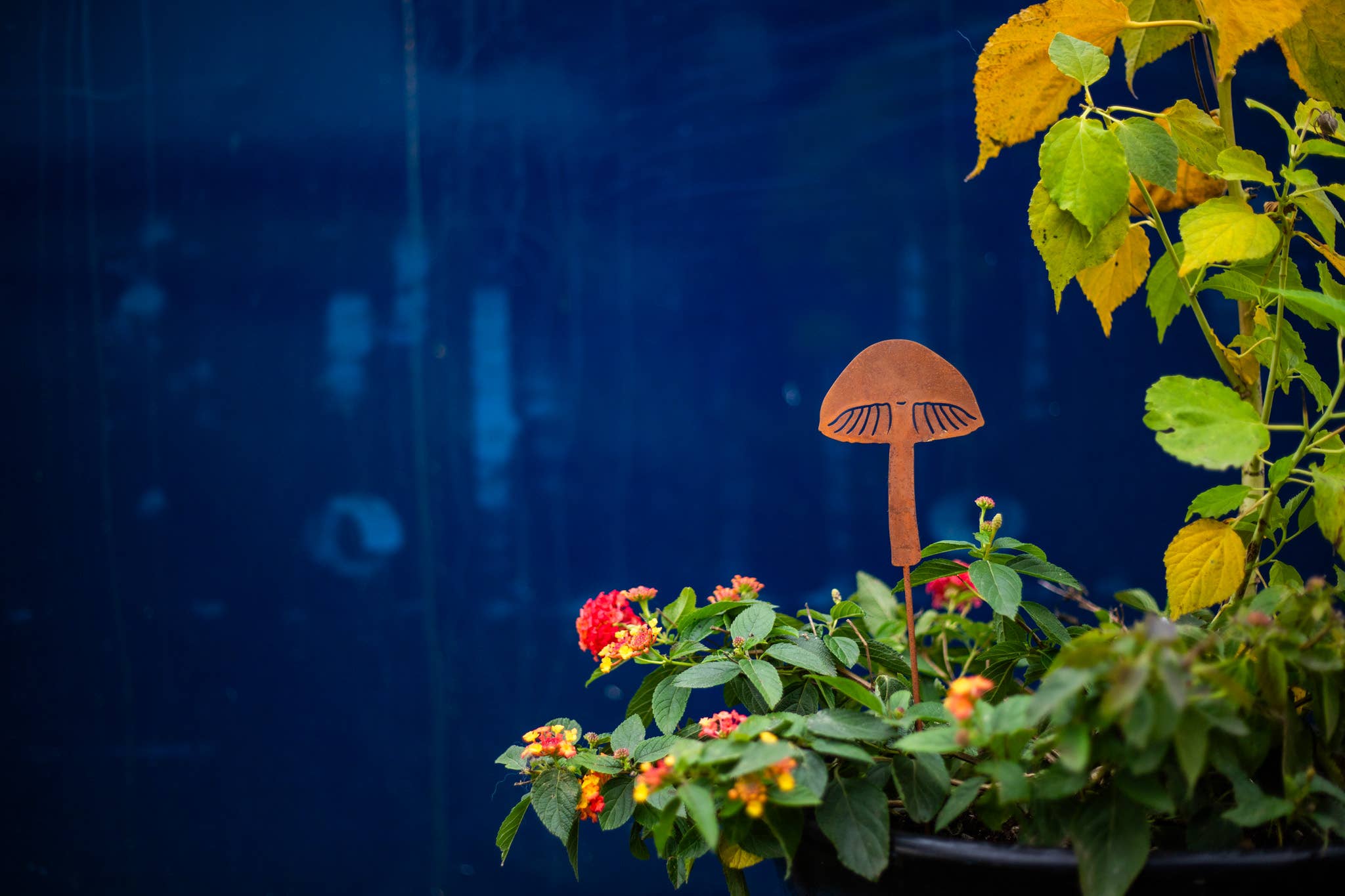 Elegant Garden Design - Vente Piquets de jardin/pelouse - Piques à champignons - Lot de cinq20
