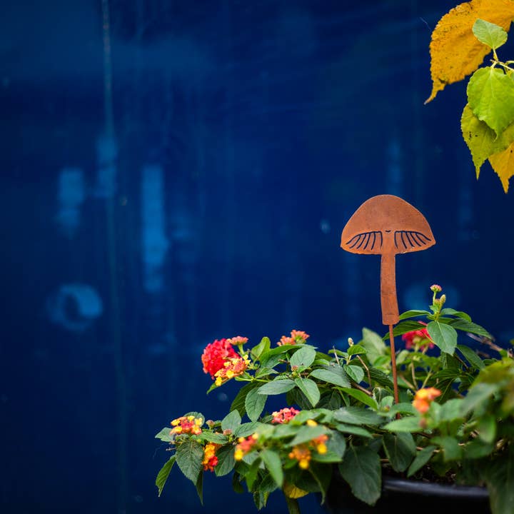 Elegant Garden Design - Vente Piquets de jardin/pelouse - Piques à champignons - Lot de cinq20