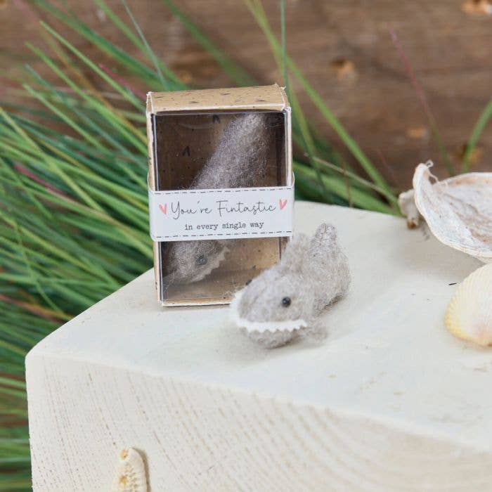 Langs - Wholesale Keepsake box – Child & baby - Tiny World Shark Boxed Keepsake