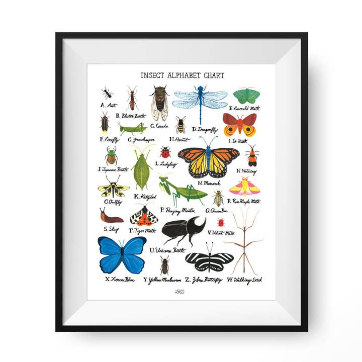 Insect Alphabet Chart Art Print for wholesale by LKD - Lily Kao Design