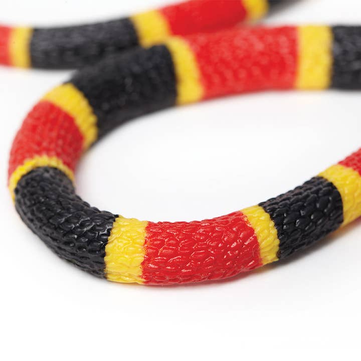 Safari Ltd. - Wholesale Figurine Toy - Kids - Coral Snake Baby - 263329