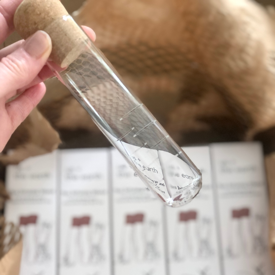 Us and The Earth - Vente Passoires à thé/infuseurs - Baguette à infusion de thé en vrac en verre5