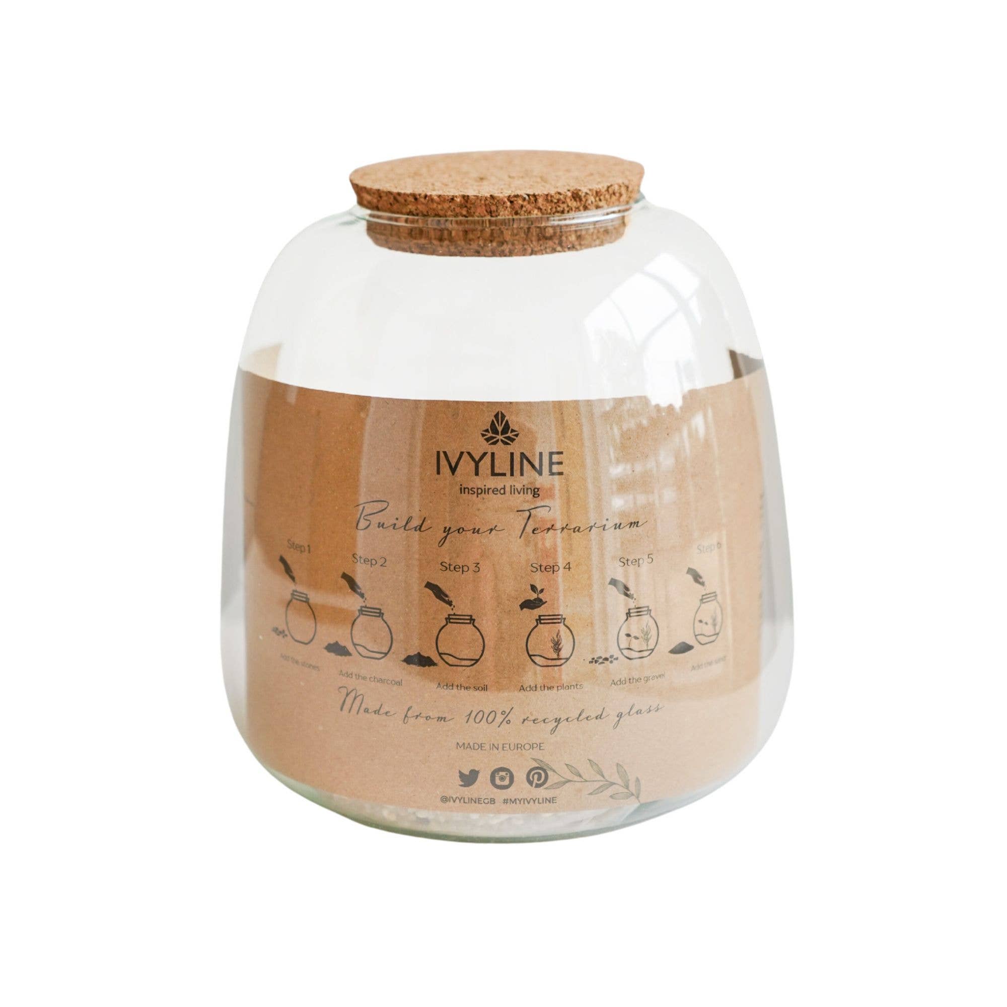 Ivyline - Vente Terrariums - Kit DIY terrarium moyen en forme de bol H20 cm D19 cm4