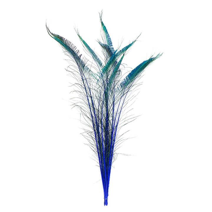 Peacock Swords Stem Dyed - Royal for wholesale by Zucker Feather Products
