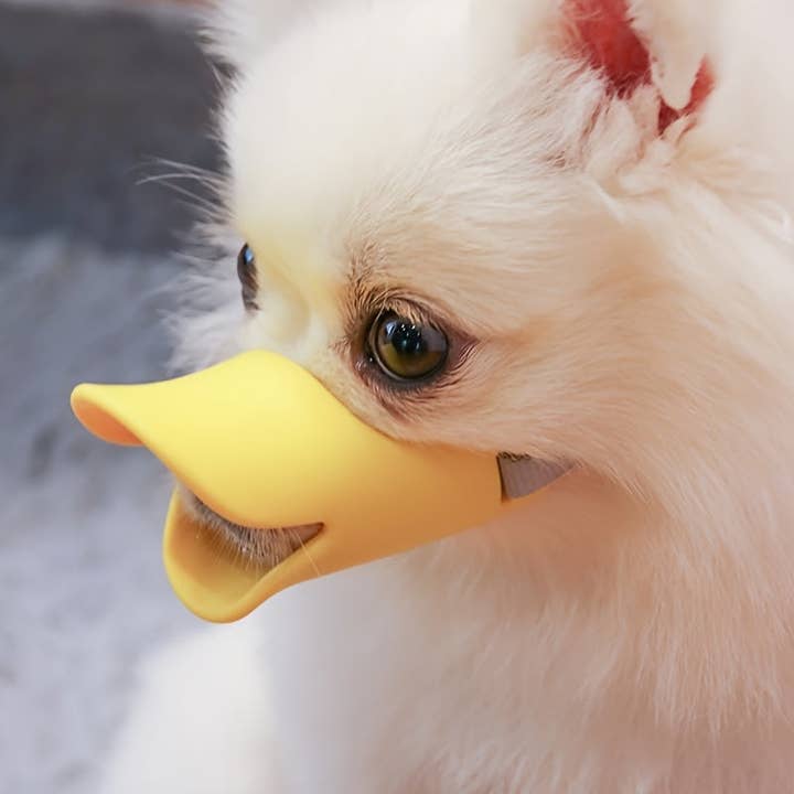 DIYSTORE – wholesale Tuggleksak för hund - Hund – Säkerhetsmjuk anknäbbsskydd, anti-tuggande bitande hundmunkorg, bekväm andningsbar liten hundmask, olika färger1